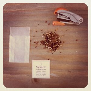 Mariage graines à semer : Offrez des graines à planter à vos invités !